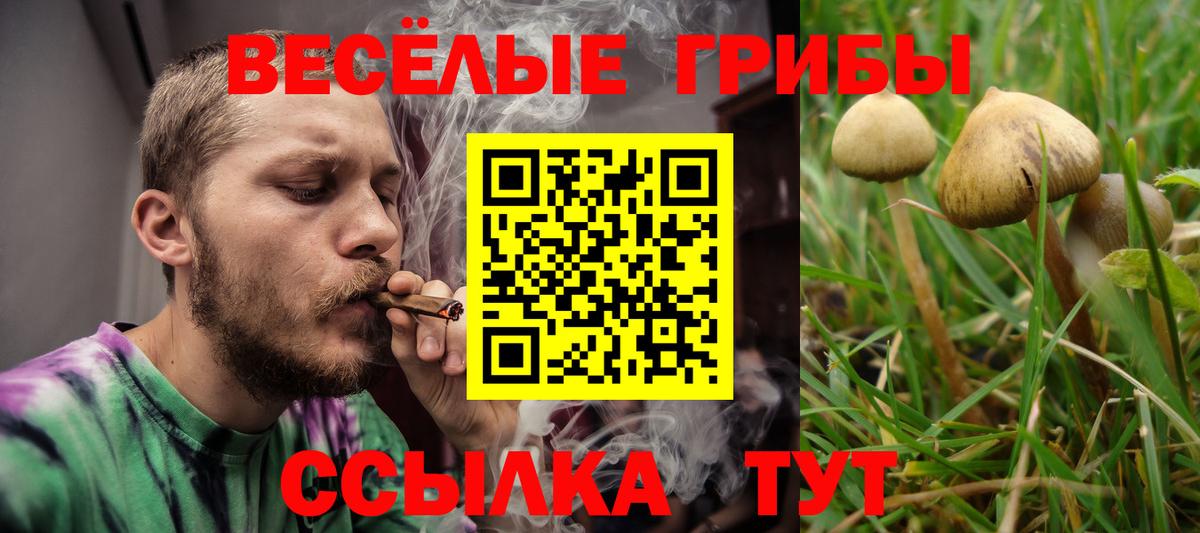 Псилоцибиновые грибы мицелий  Вход с VPN  закладка  Дивногорск  Галлюциногенные грибы мухоморы 